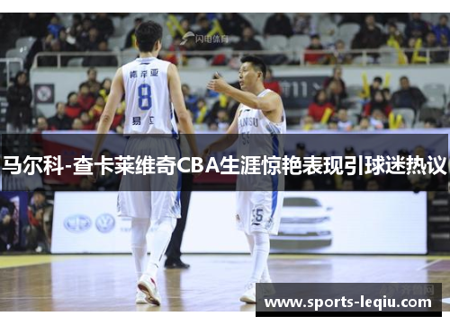 马尔科-查卡莱维奇CBA生涯惊艳表现引球迷热议
