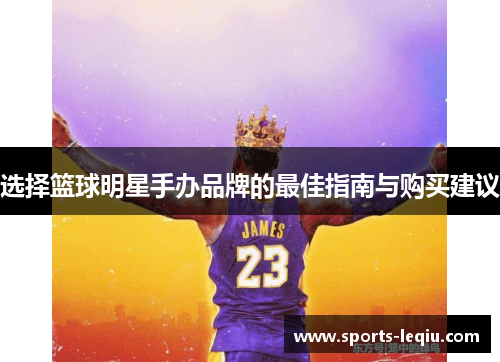 选择篮球明星手办品牌的最佳指南与购买建议